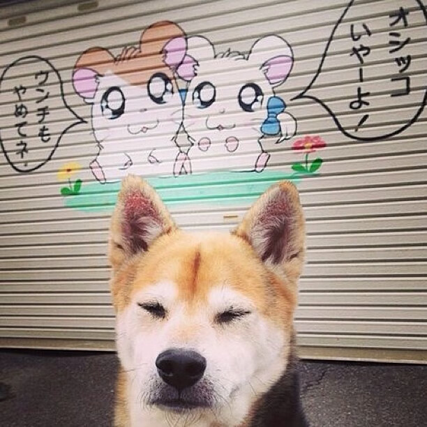 爱游戏电竞官网-浓眉带伤出战湖人带动全队节奏，湖人队的浓眉伤势怎么样