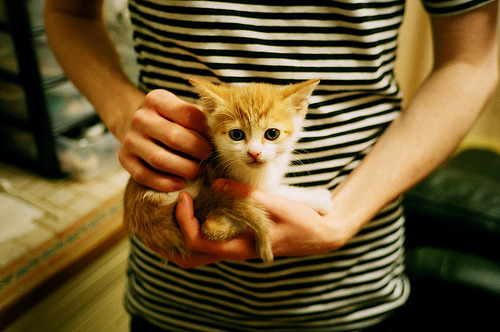 青训体系将引入体能等级分级制度推动训练科学化，青训政策