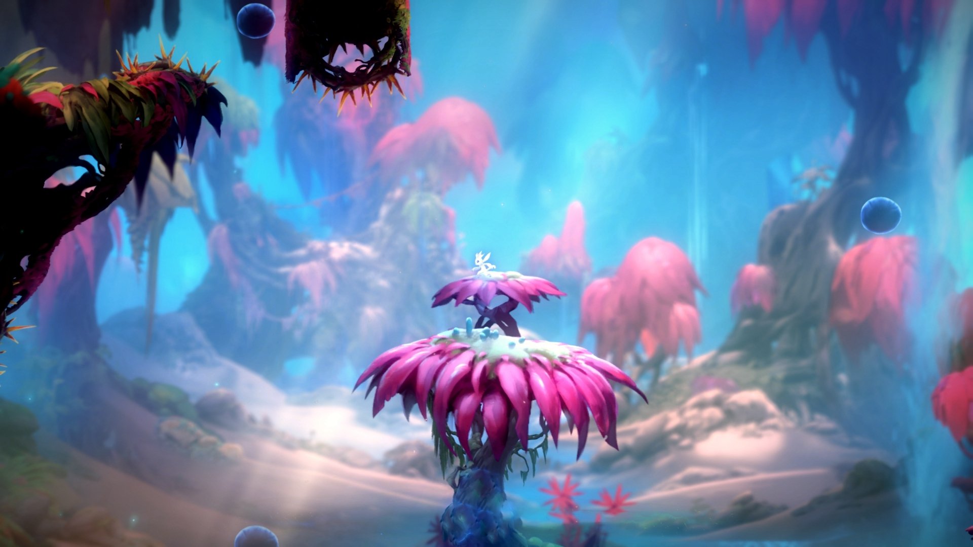 “伊万·戈梅斯的防守能力与领导气质,帮助美洲狮队成为攻守平衡的强队”